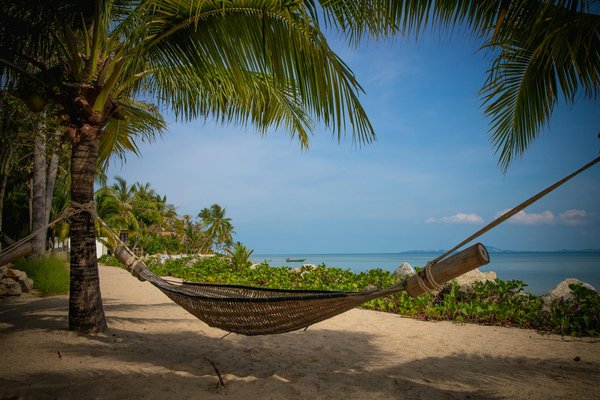 Comparatif des compagnies de croisière tout inclus